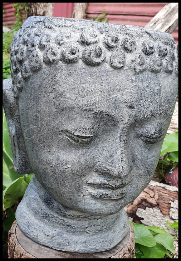 Buddha Pot (l)