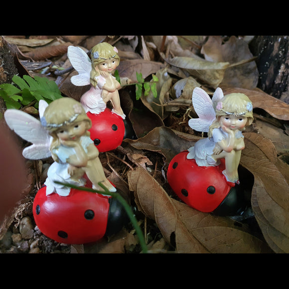 Lady Fairy Bug