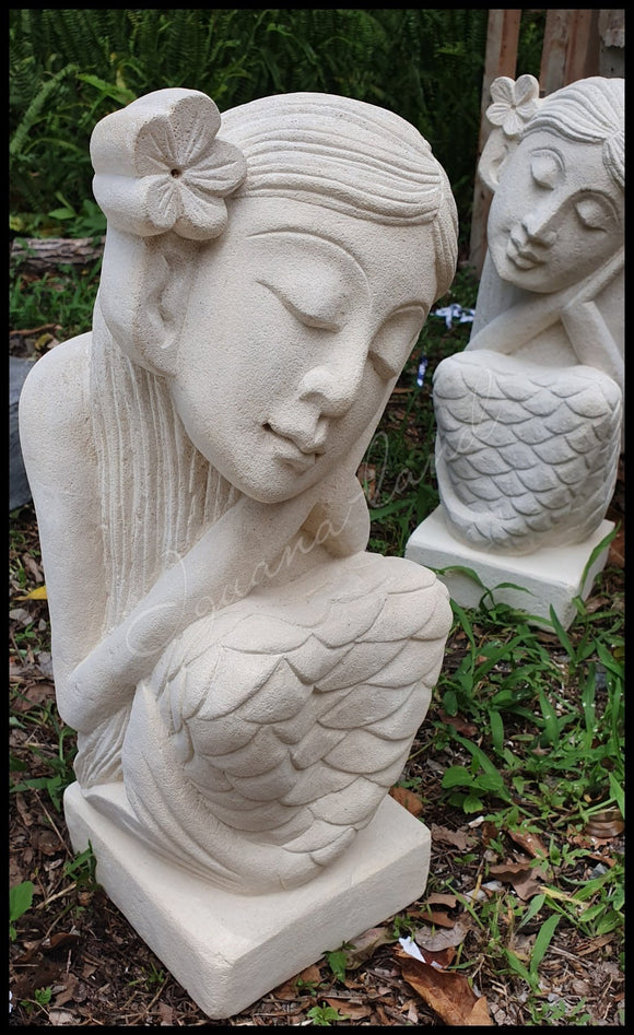 Outdoor & Gardens