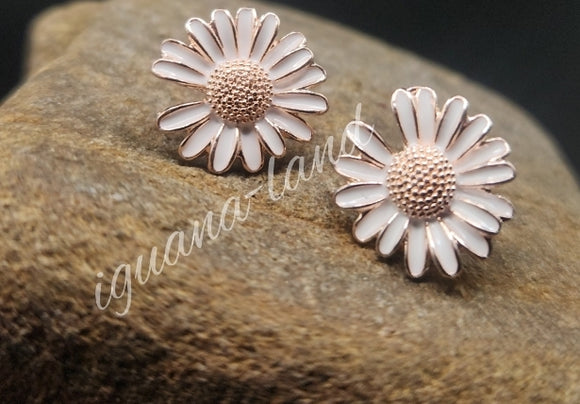 Fashion Earrings