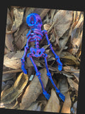 Skully
