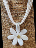 Daisy Shell NL