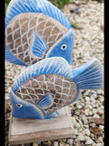 Angel Fish