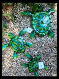 Turtle M Wall Art