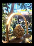 Swing Birdy