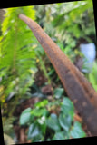 Dubali 1