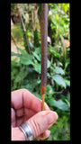 Dubali 1