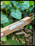 Californian White Sage