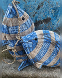 Stripey Fish (2)