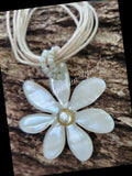 Daisy Shell NL