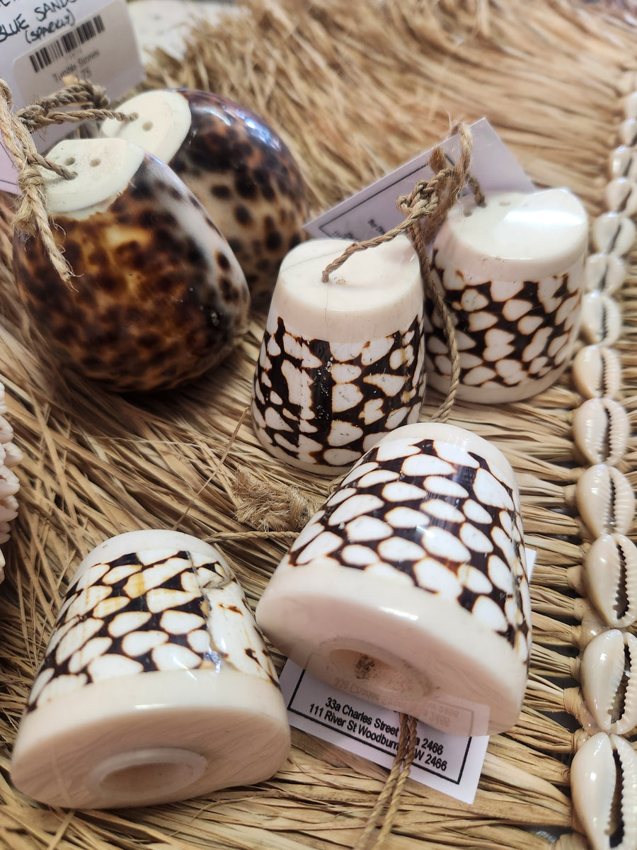 Shell S&P – Iguana Beachwear Gifts & Home Decor