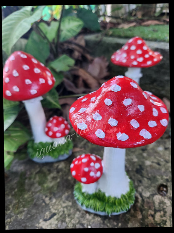 Mushrooms