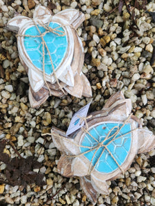 Turtles (3)