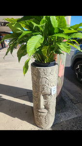 Tree Man Pot