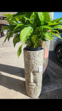 Tree Man Pot