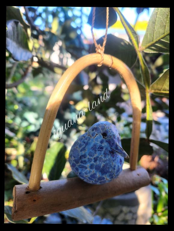 Swing Birdy
