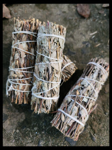 Royal White Sage