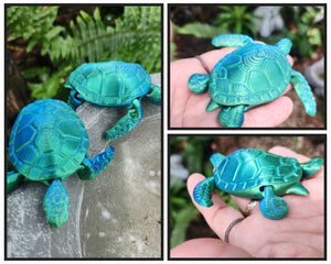 Timmy Turtle