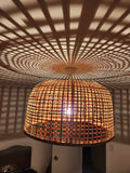 Frazer Cane  Lightshade