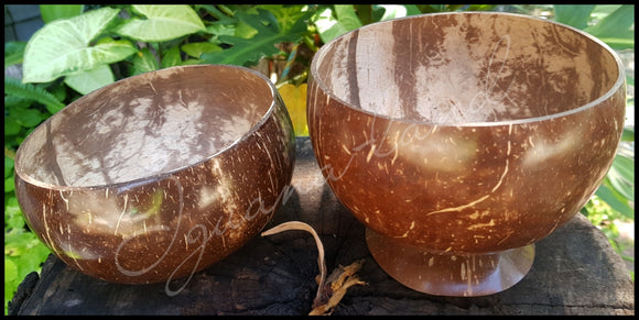 Coconut Bowls