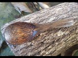 Coconut Spoon
