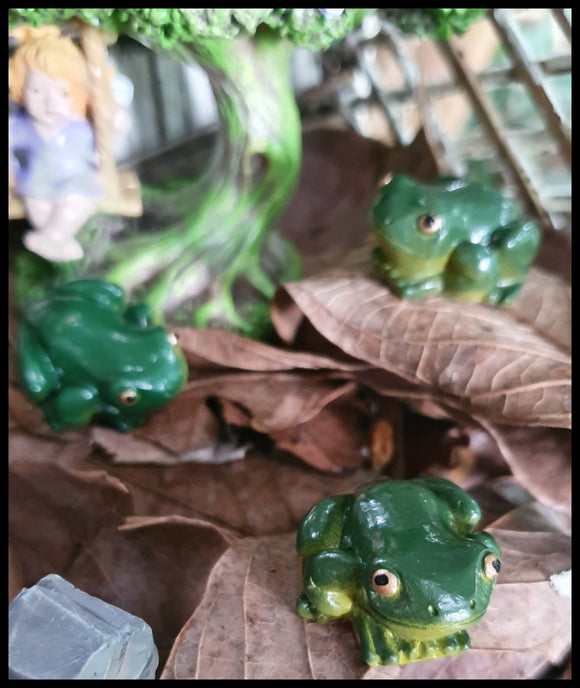 Mini Frog