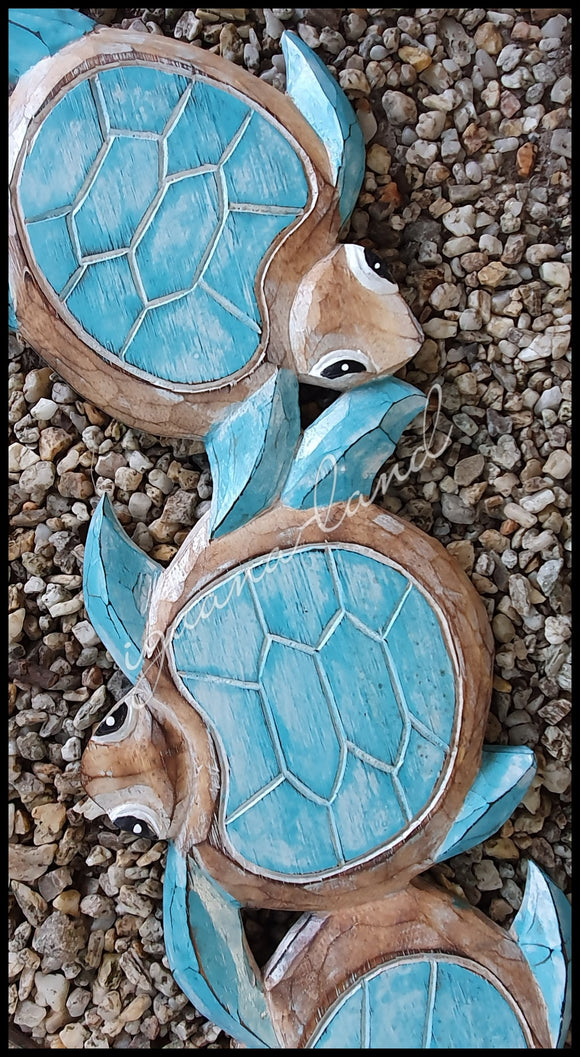 Turtle Wall Art