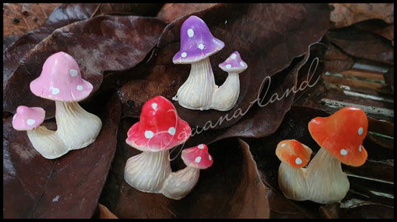 Magic Mushrooms