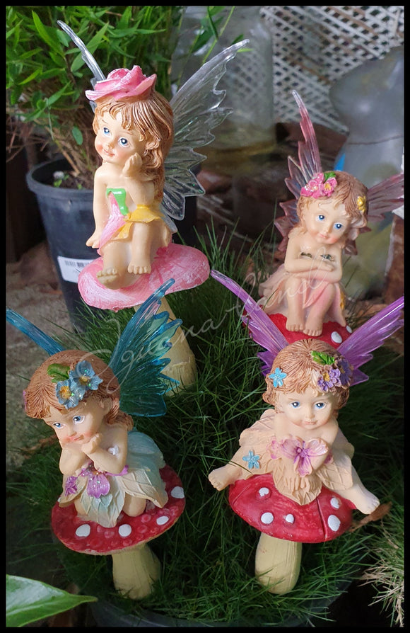 Little Miss Fairy