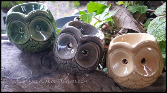 Cute Owl Oil Burners