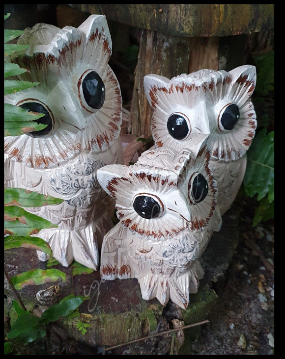 Woodland Owls