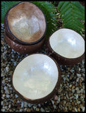 Capiz Coconut Bowl