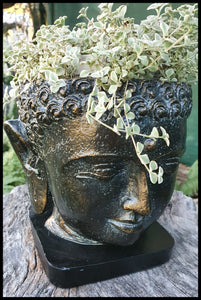 Buddha Cache Pot