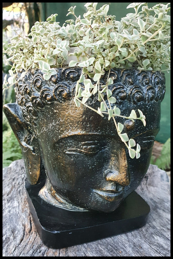 Buddha Cache Pot
