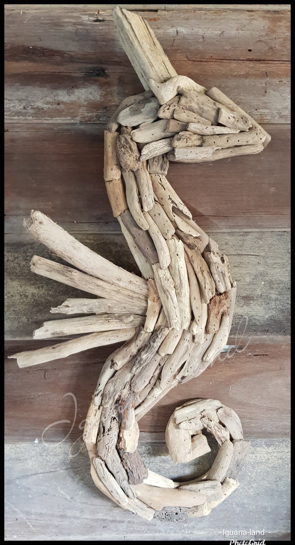 Seahorse - Driftwood