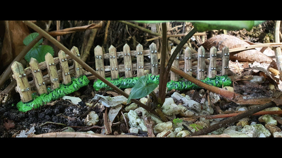 Garden Fence