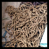 Rope Cat