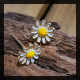 Daisy ER