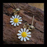 Daisy ER