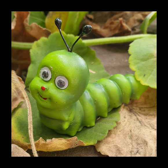 Caterpillar