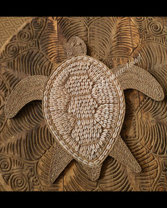 Shelly Turtle