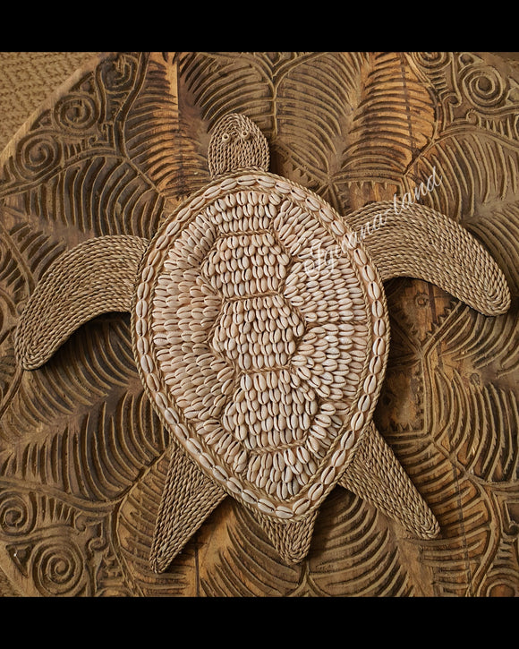 Shelly Turtle