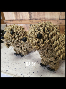 Rope Puppy
