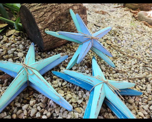 Starfish (2)