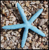 Starfish Resin