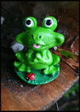 Frog & Ladybug