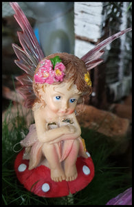 Little Miss Fairy