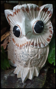 Woodland Owls