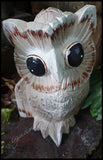 Woodland Owls