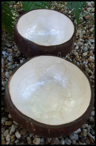 Capiz Coconut Bowl
